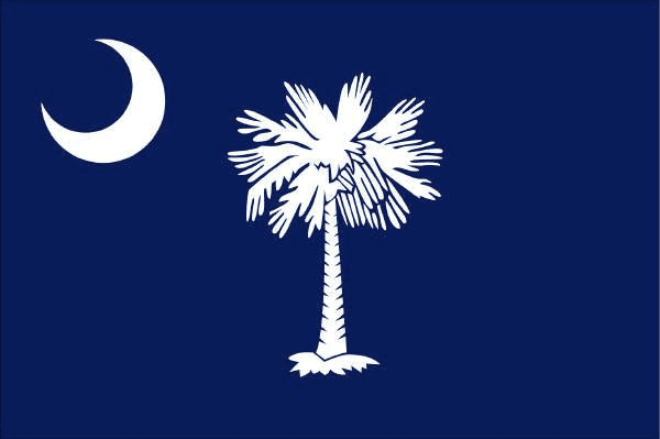 South Carolina flag with palmetto tree